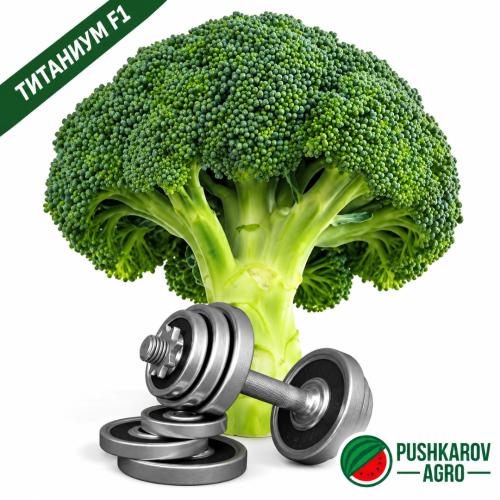 БРОКОЛИ ТИТАНИУМ F1 / TITANIUM F1 БРОКОЛИ ТИТАНИУМ F1 / TITANIUM F1