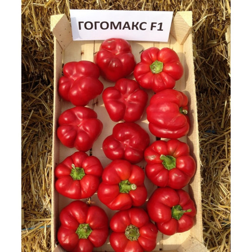 ПИПЕР ГОГОМАКС F1 / GOGOMAX F1 ПИПЕР ГОГОМАКС F1 / GOGOMAX F1