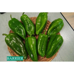 ПИПЕР БАРИЕР F1 /BARIER F1