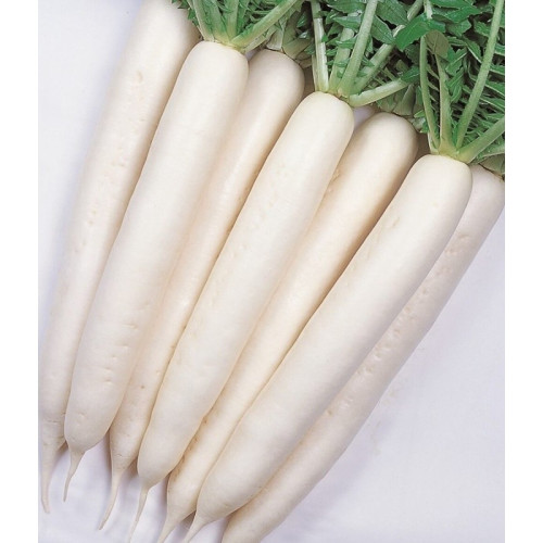 РЯПА МИНО САМЪР КРОС F1 / MINO SAMMER CROSS F1 
