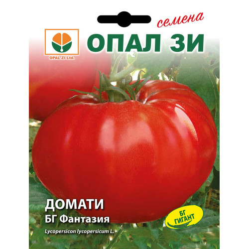ДОМАТИ ФАНТАЗИЯ / FANTAZIA ДОМАТИ ФАНТАЗИЯ / FANTAZIA