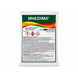 ИНАЗУМА ИНАЗУМА