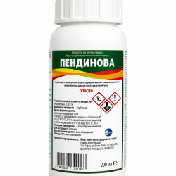 ПЕНДИНОВА ПЕНДИНОВА