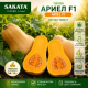 ТИКВА АРИЕЛ F1 / ARIEL F1 ТИКВА АРИЕЛ F1 / ARIEL F1