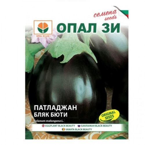 ПАТЛАДЖАН БЛЯК БЮТИ / BLACK BEAUTY ПАТЛАДЖАН БЛЯК БЮТИ / BLACK BEAUTY